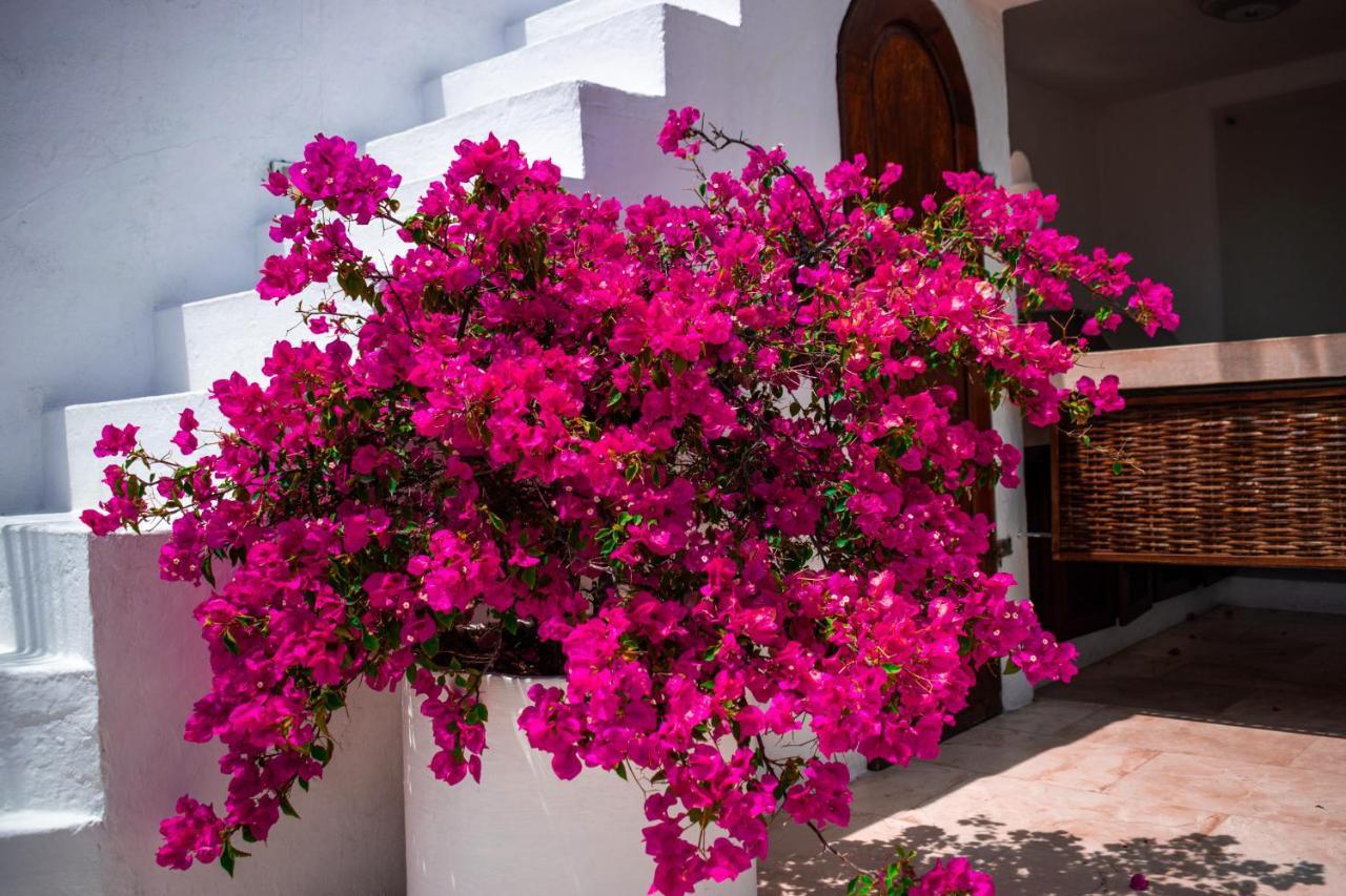 Hotel Aguamarina Boutique (Adults Only) Cartagena Екстериор снимка
